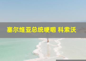 塞尔维亚总统哽咽 科索沃